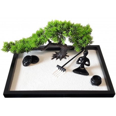 Giardino Zen Bonsai 25 x 25 x 1,8 cm